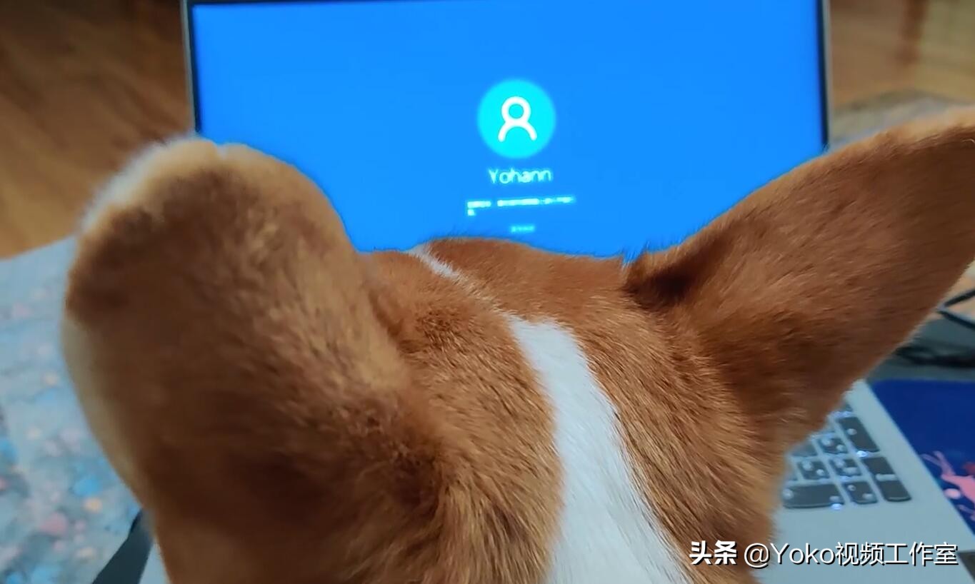 电脑老是蓝屏死机是什么原因,电脑死机蓝屏按什么键恢复