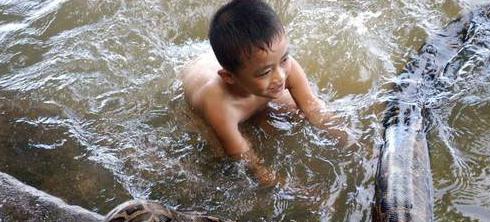 巨蟒报恩的真实事件,海南巨蟒为报主人救命之恩