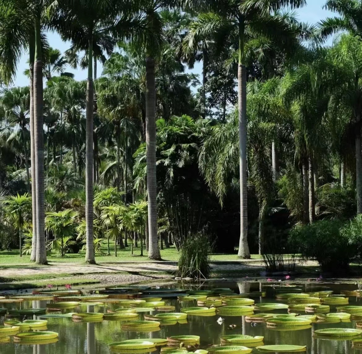 云南省四季如春之都,云南省哪个地区四季如春