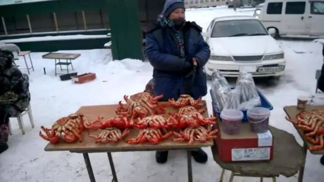 俄罗斯帝王蟹和日本帝王蟹区别,俄罗斯的帝王蟹价格