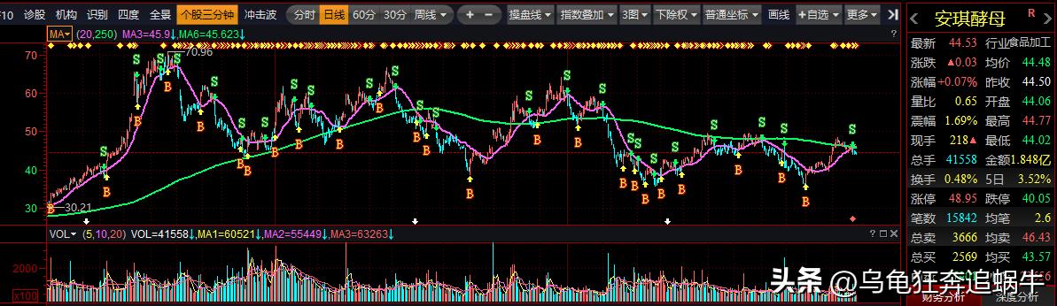 否极泰来2023年a股市场展望,a股开门红2023年投资机会在哪里