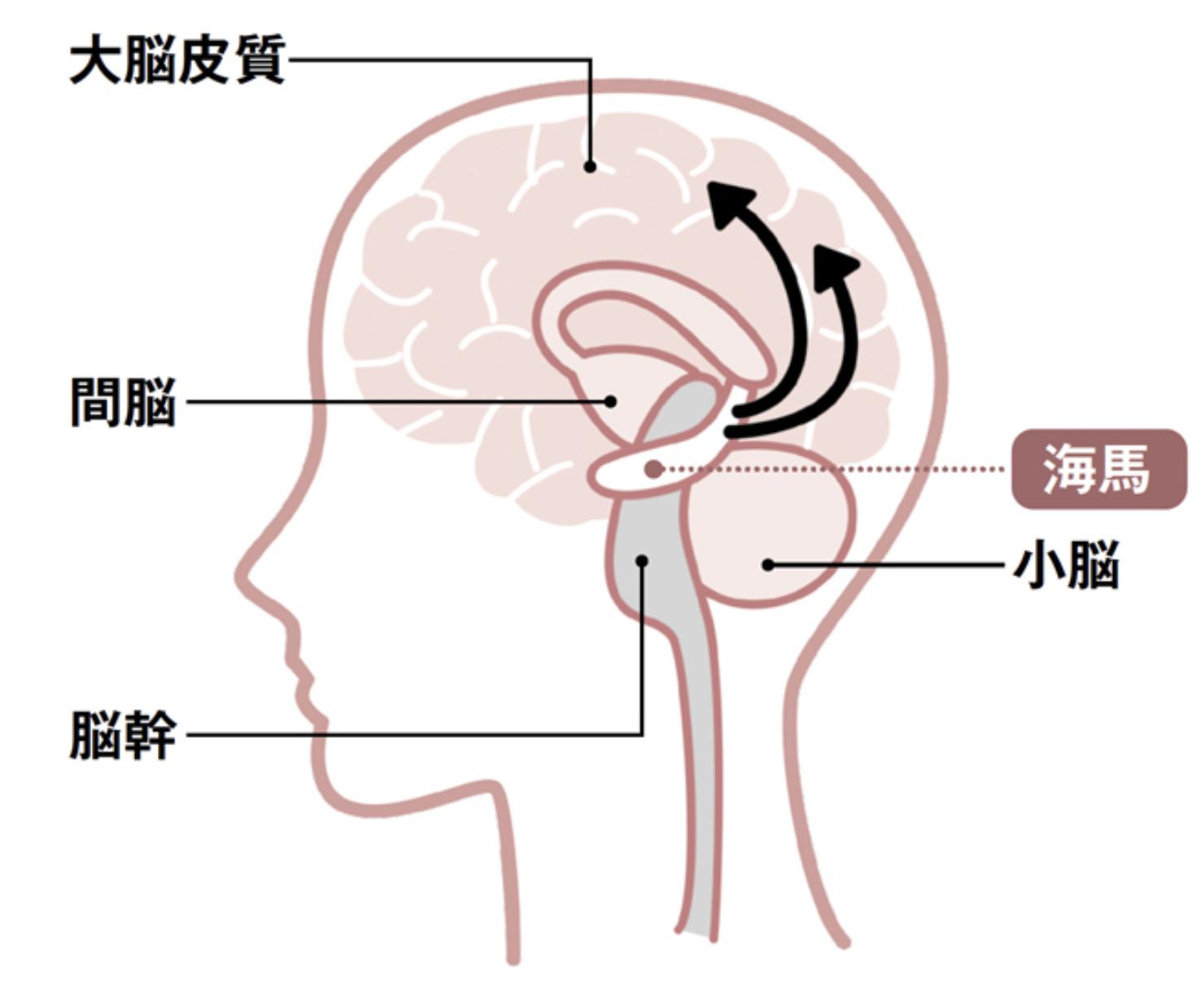 日本干细胞治疗哪些疾病,日本干细胞技术治疗疾病