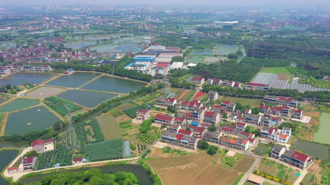 江苏常州旅游世外桃源,来常州天宁区玩的攻略