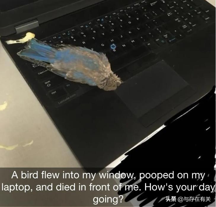 20个最令人崩溃的瞬间,100个让你崩溃的瞬间