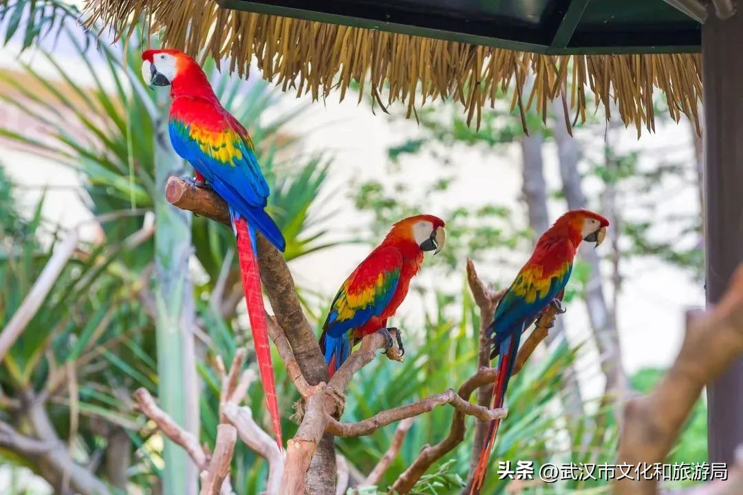 抓紧享受假期的尾巴,抓住假期小尾巴愉快的五一假期