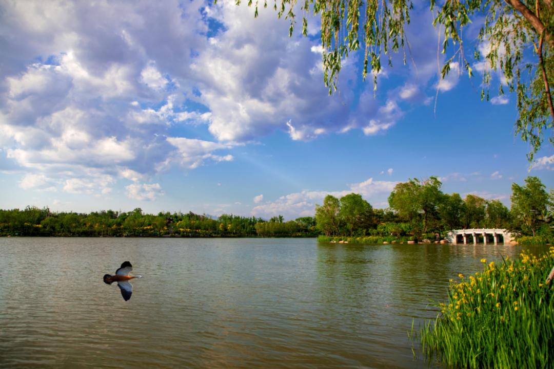 赞美秦皇岛的夏天,想念秦皇岛的夏天