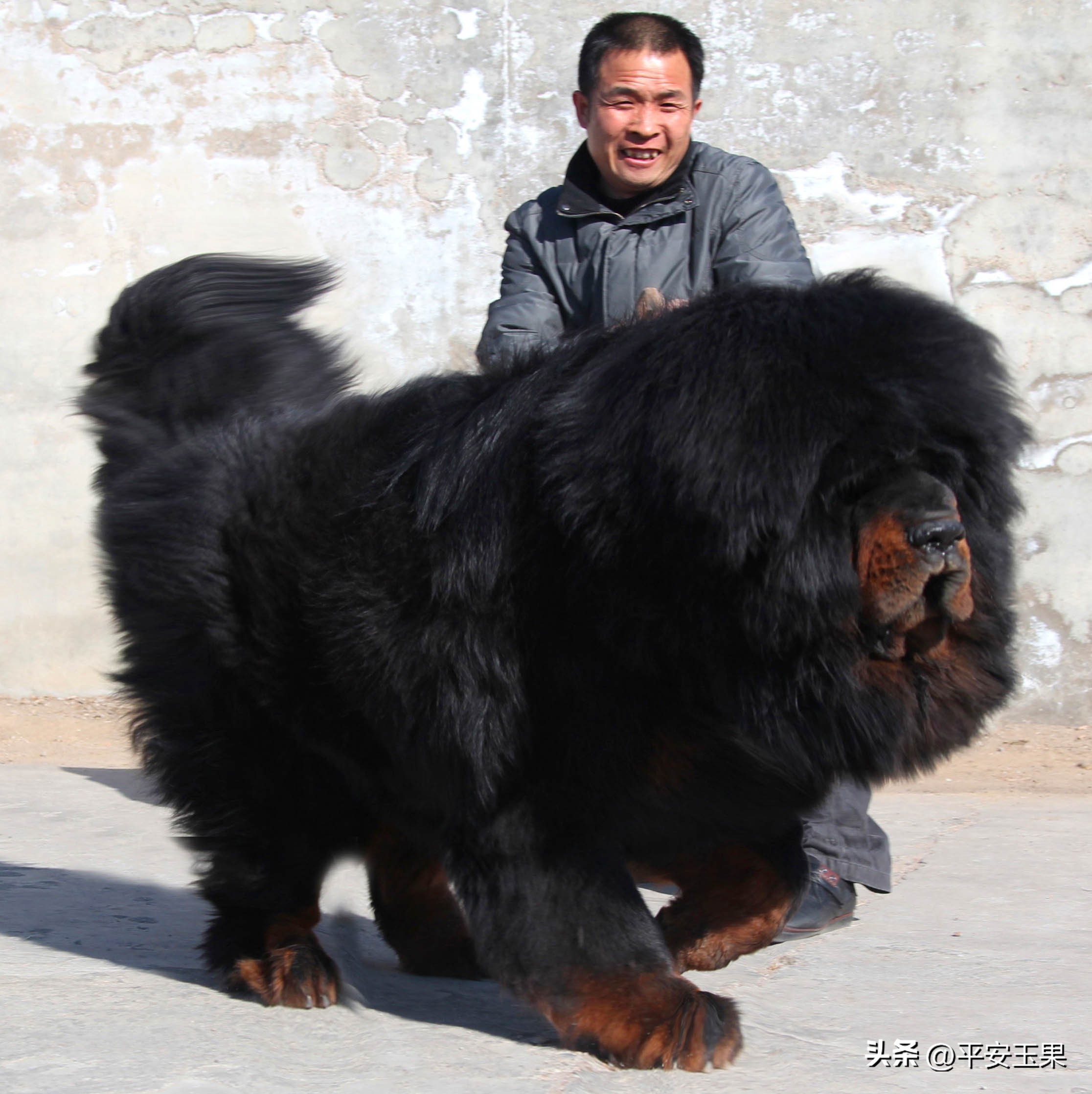 一次摄影之旅,一次拍摄失误的后果