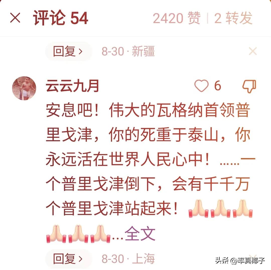 普里戈任值得国人如此伤心吗