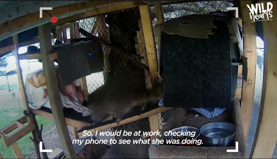 鍔犳嬁澶у皬娴g唺骞煎唇,鍔犳嬁澶у杺鍏诲皬娴g唺