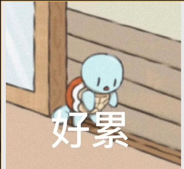 十八万八彩礼的姑娘你愿意娶吗,小县城三千八房价