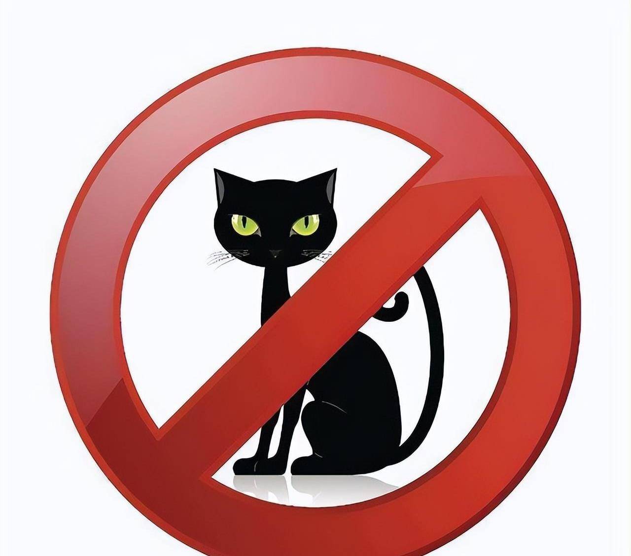 禁止养猫的十大建议,5种猫不能养已被列入禁养名单