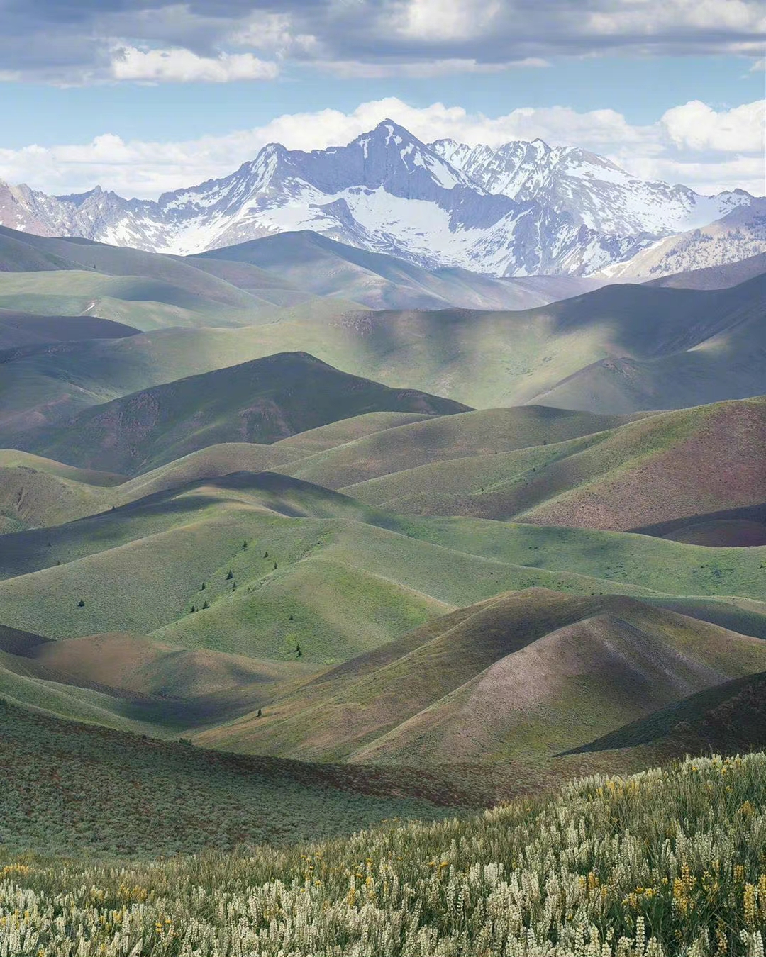 电影海报的经典语录,电影新颖优秀的海报宣传语