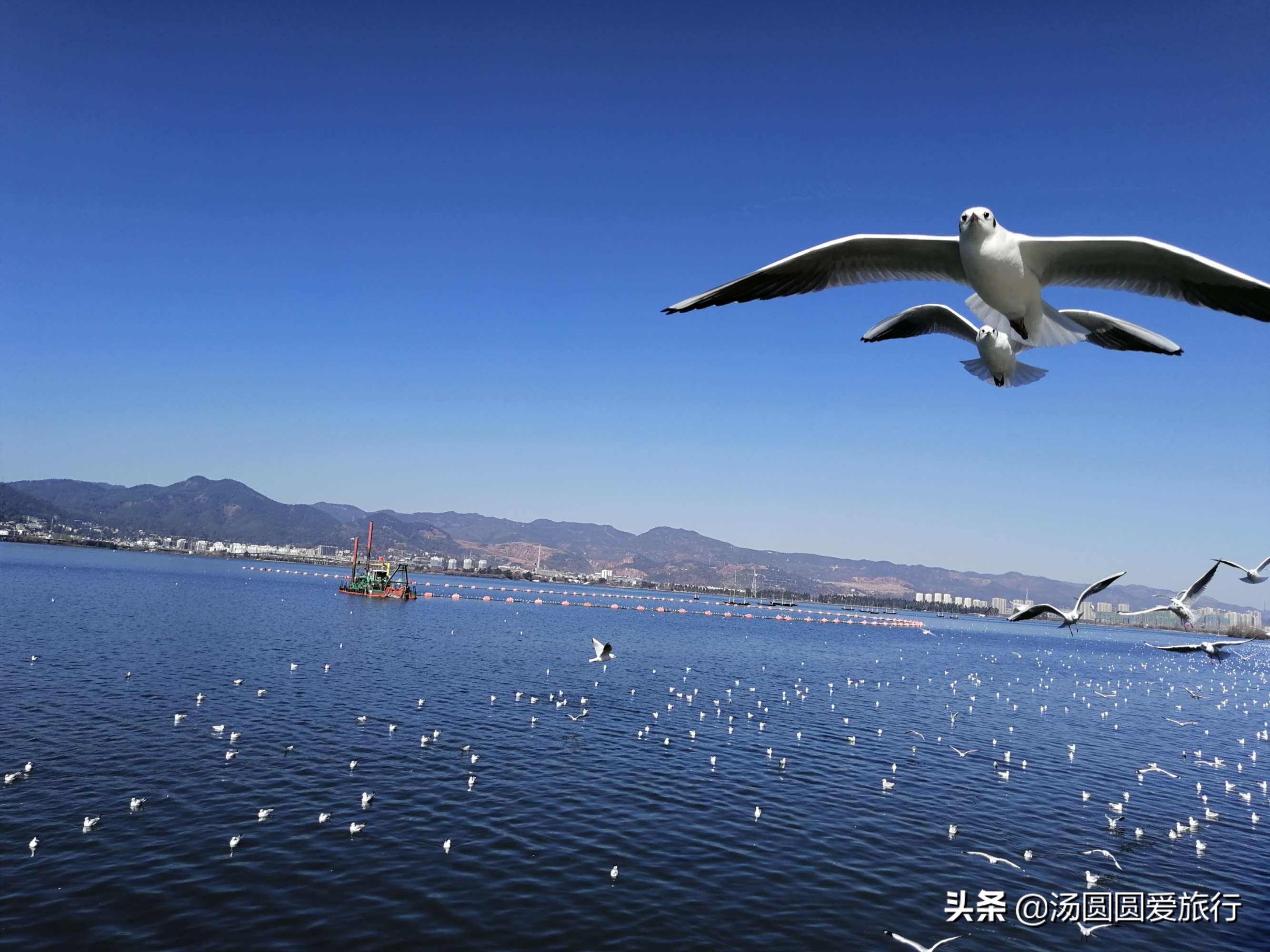 避暑胜地云南昆明,昆明春城避暑时间