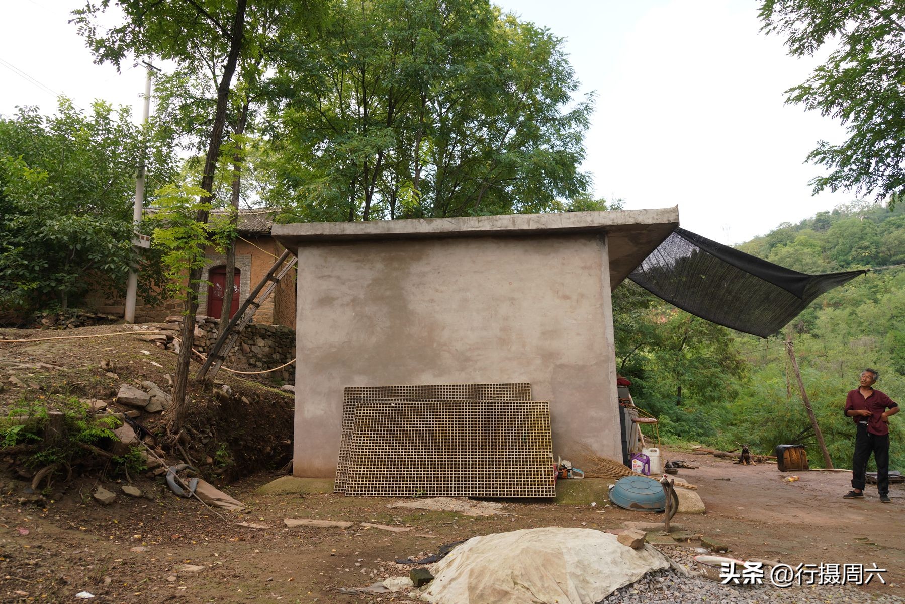 山村兄弟二人搭伙养羊，分配方法奇特，弟弟每年能分8只羊