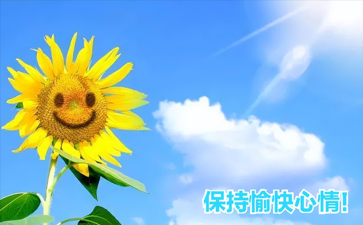 后背生疮是什么原因引起的,后背痤疮发痒怎么办