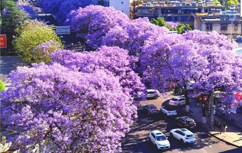 天猫有正品吗,天猫正品超市直营