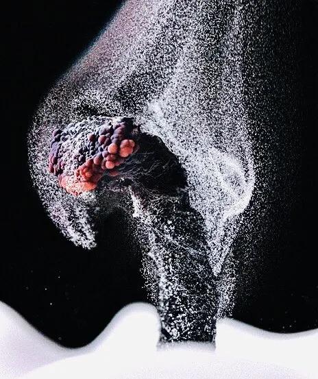 显微镜图像与真实图像,22张罕见的显微镜照片