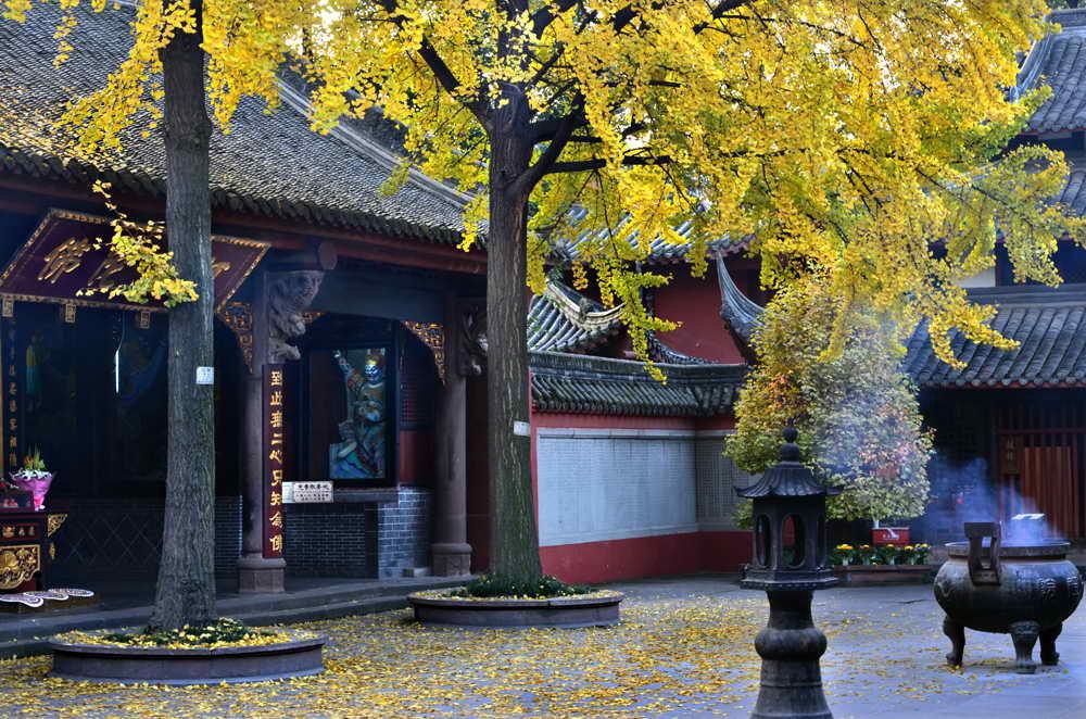 成都周边好玩的地方景点免费,成都市区必去10大景点排行