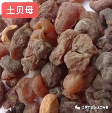 几种贝母的区别,各种贝母的区别