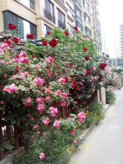 狂客上联,狂客七字对联上联