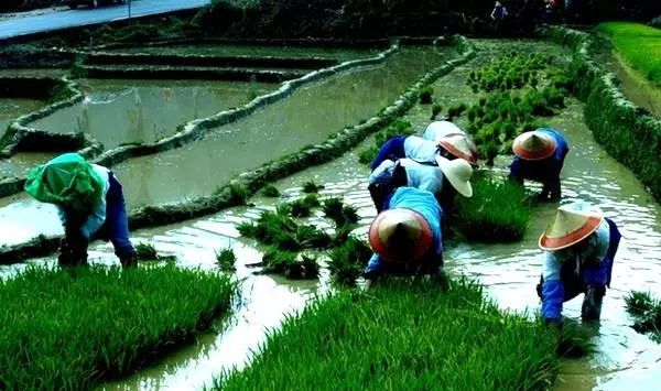 在农村当知青七八十年代,回想在农村插队时