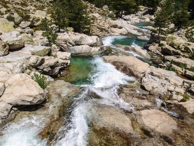 黄金有价情义无价的下一句,黄金有价情义无价视频