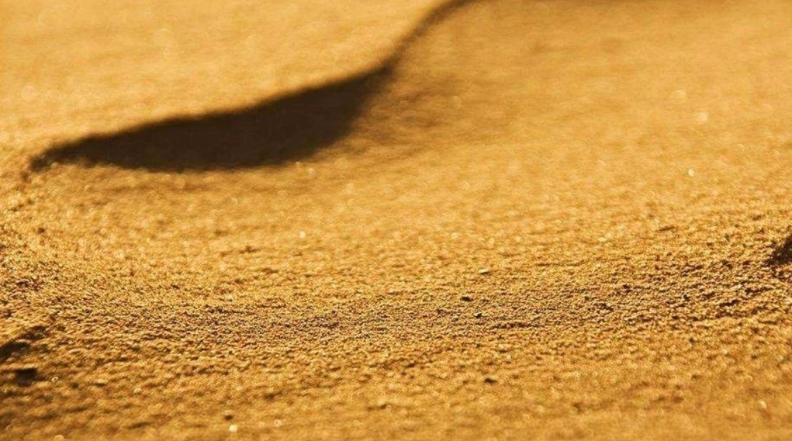 中国为何花大价钱，从国外进口河砂，而不在长江黄河大规模开采砂