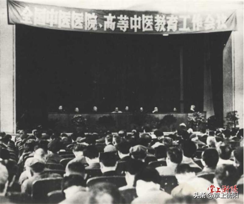 衡山康养,南岳衡山国际中医康养产业园