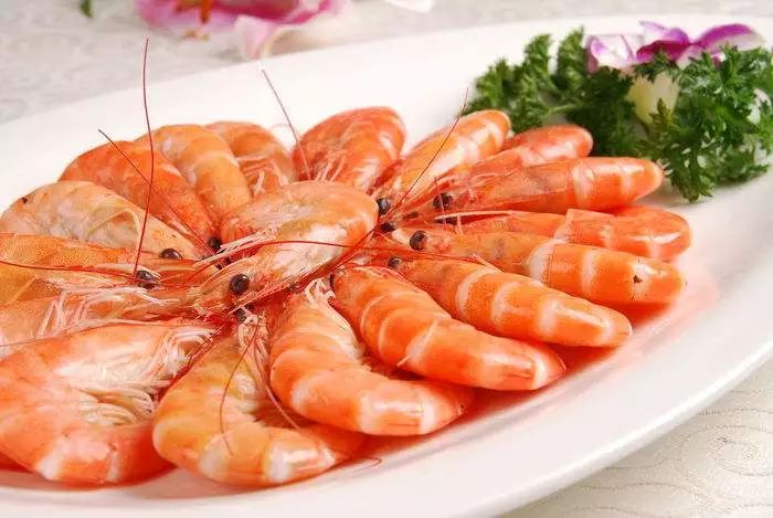 大湾区之珠海篇,2023优秀华裔大学生走进大湾区