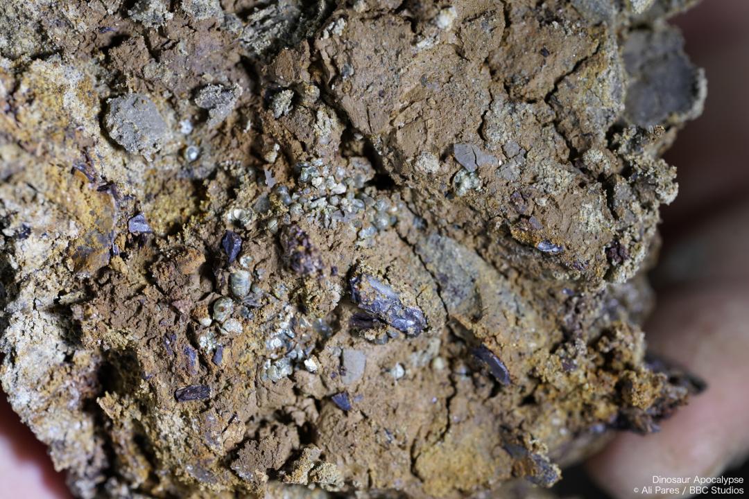 2022年十大必看大片,2022年最震撼视频