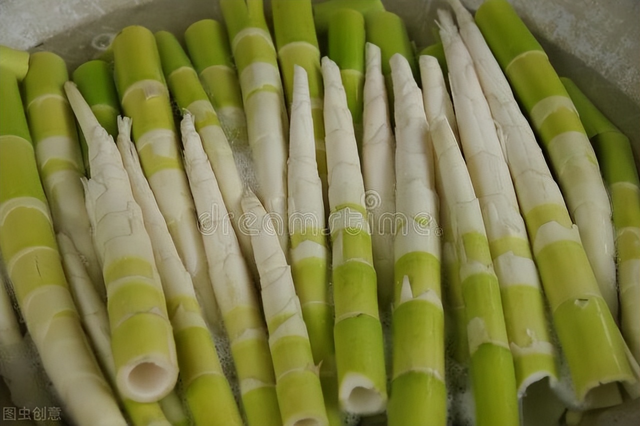 竹子意境最美的古诗词,描写竹子的古诗词大全