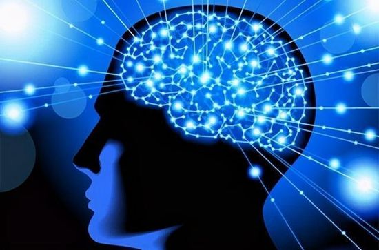 记忆力训练课程真的靠谱吗超级记忆力培训*局骗**揭露