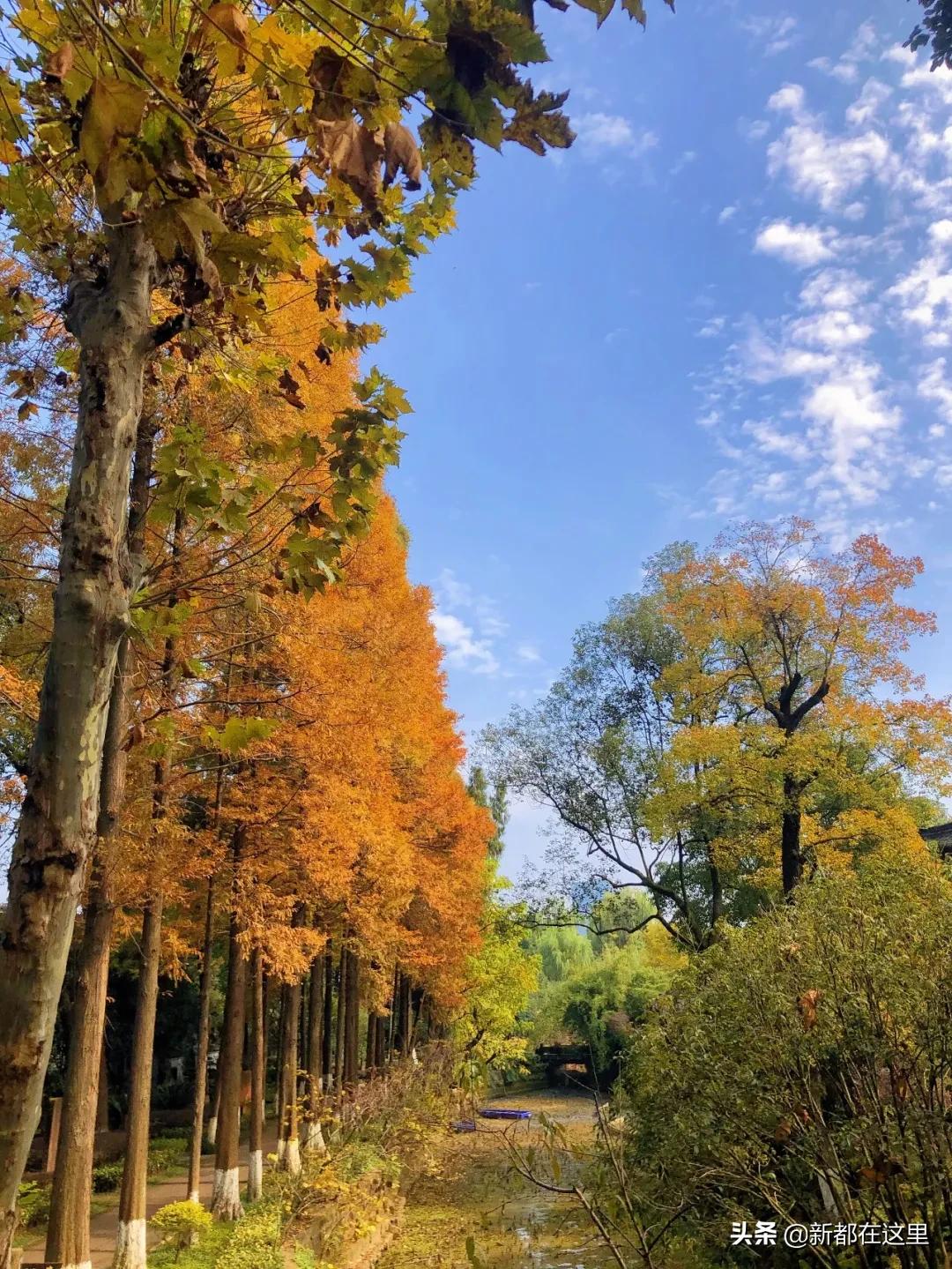 邂逅成都的100个生活细节,邂逅成都的一百个细节
