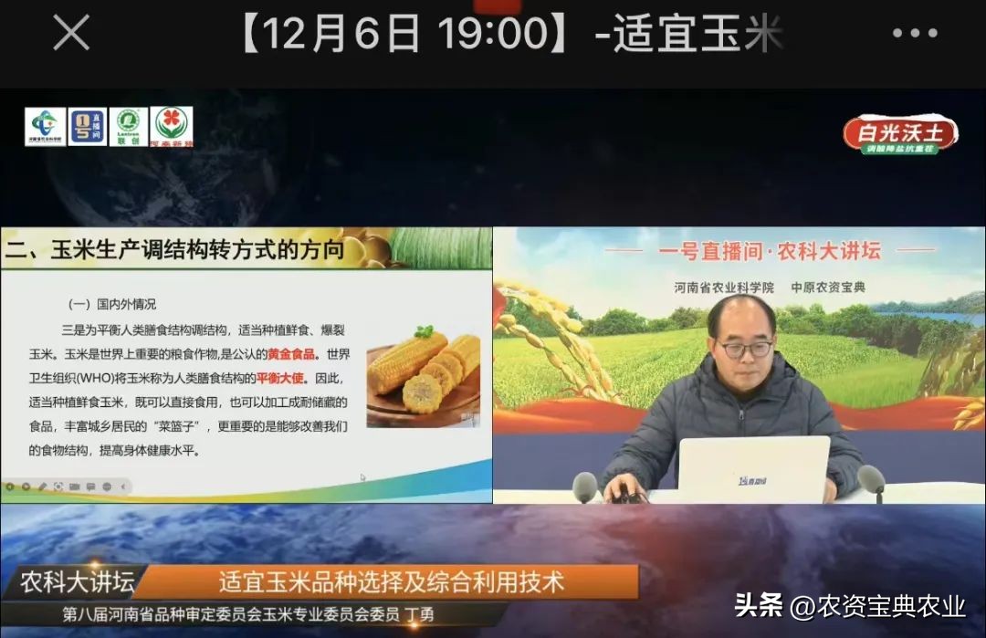 适合河南省种植的玉米高产品种,河南夏播玉米高产品种