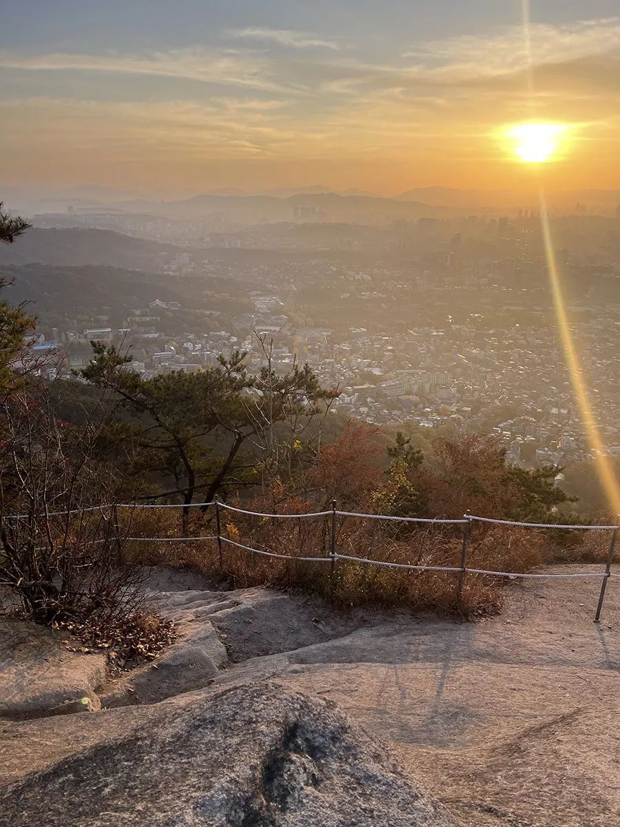 来首尔旅游,来首尔都会逛的东大门