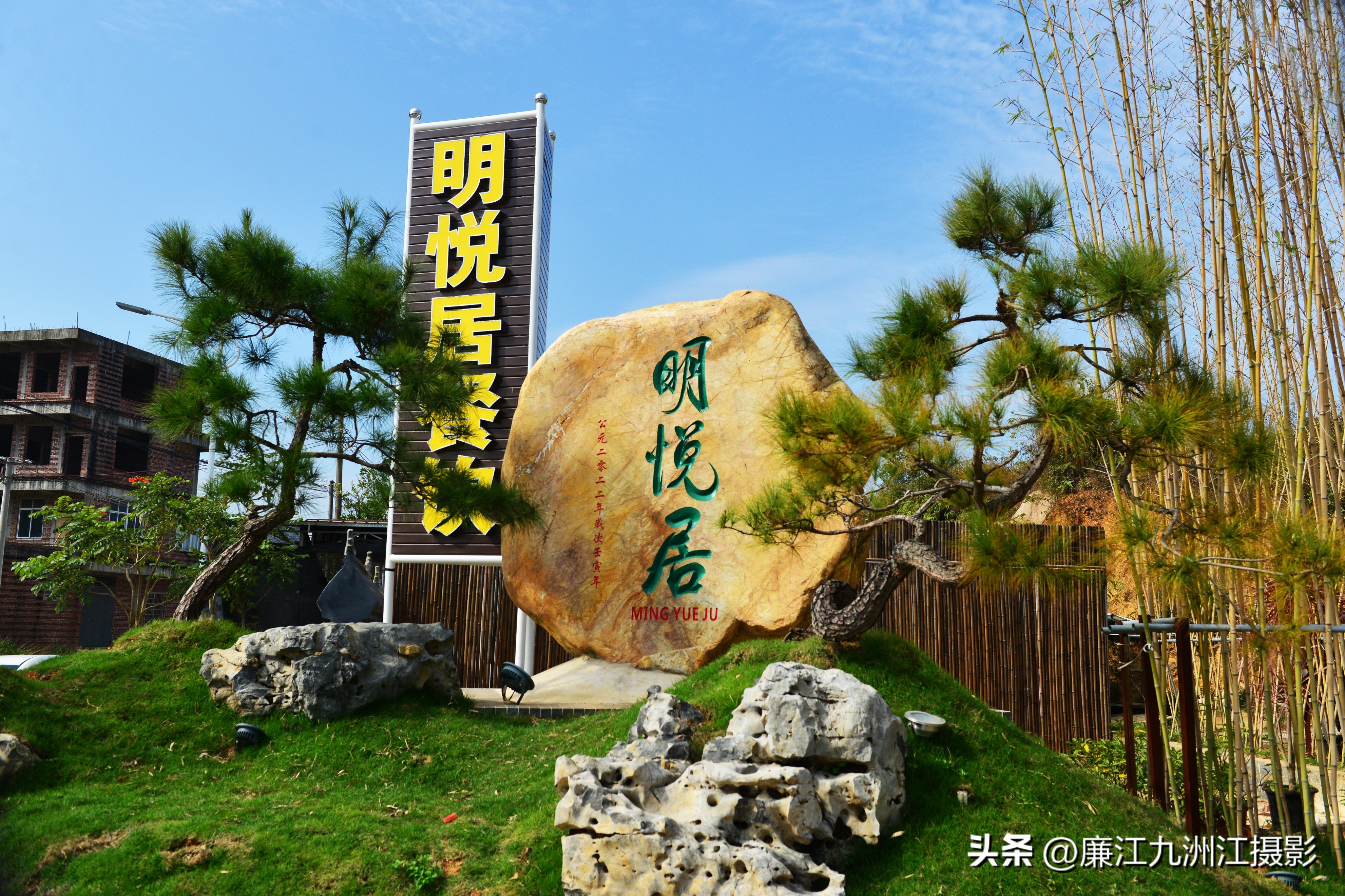 最高端的盆景展,一场惊艳的盆景展