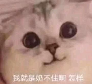 剑网3花奶强势占坑团本,剑网三哪个奶最吃香