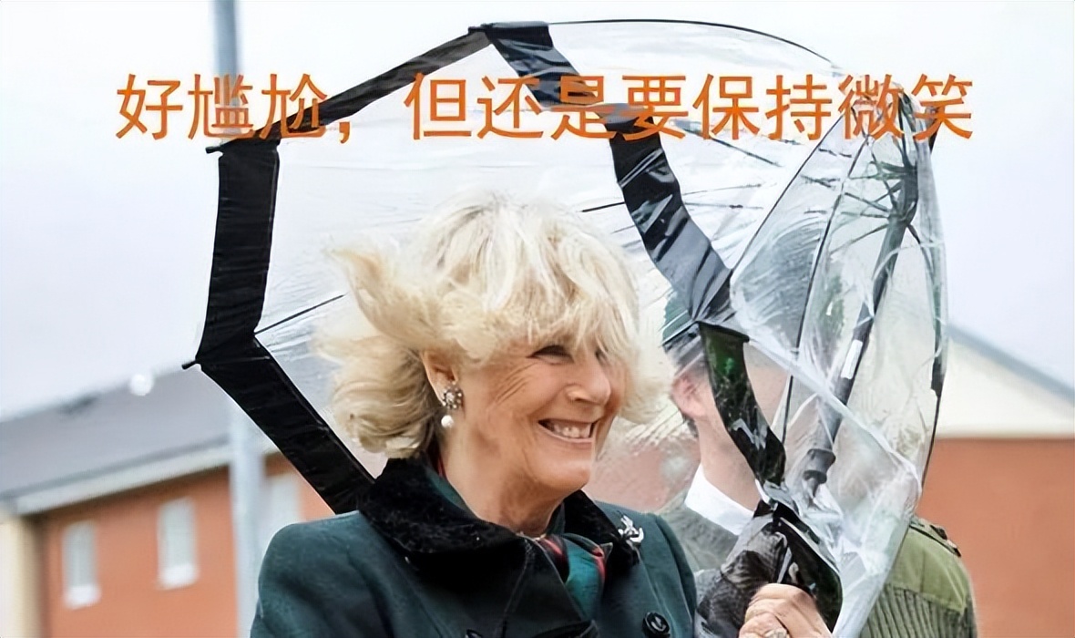 卡米拉气质逆袭不输戴安娜,卡米拉微笑回应凯特