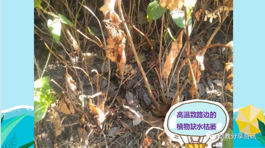 防中暑ppt幼儿园,幼儿园夏天防中暑的安全知识ppt