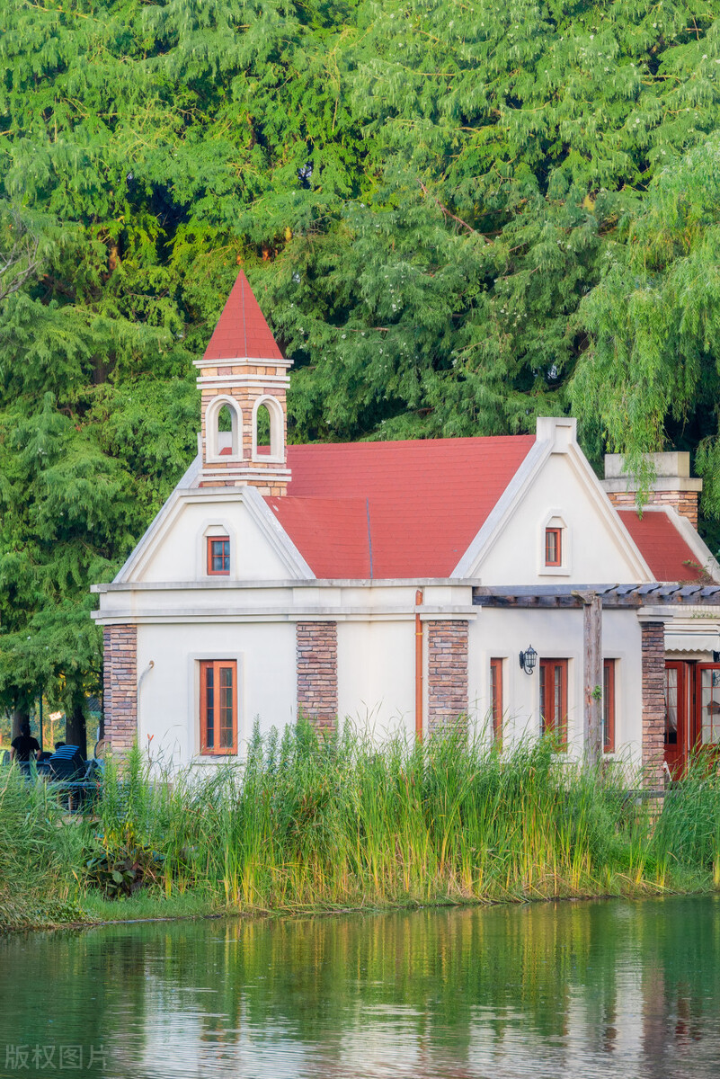 上海踏青2022,上海踏青最佳景点2021