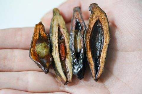 槟榔的危害原来这么大,槟榔的危害你知道有多大吗