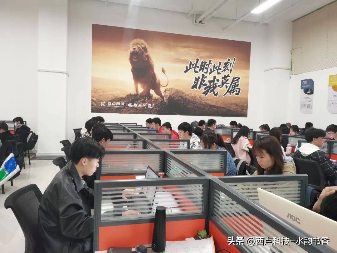 电商岗位实训,商职电商实训