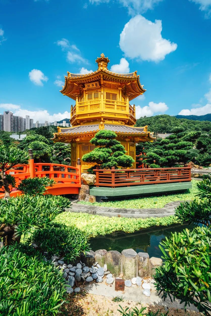 香港打卡香港之王,香港打卡点图片