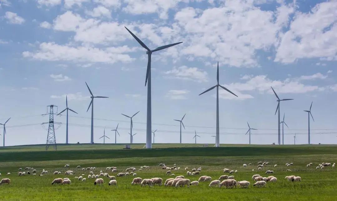 高瓴资本为什么看好医药,协鑫高瓴