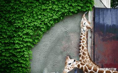 “你以为女生睡觉都是靠着男票？为你解锁更多姿势！”