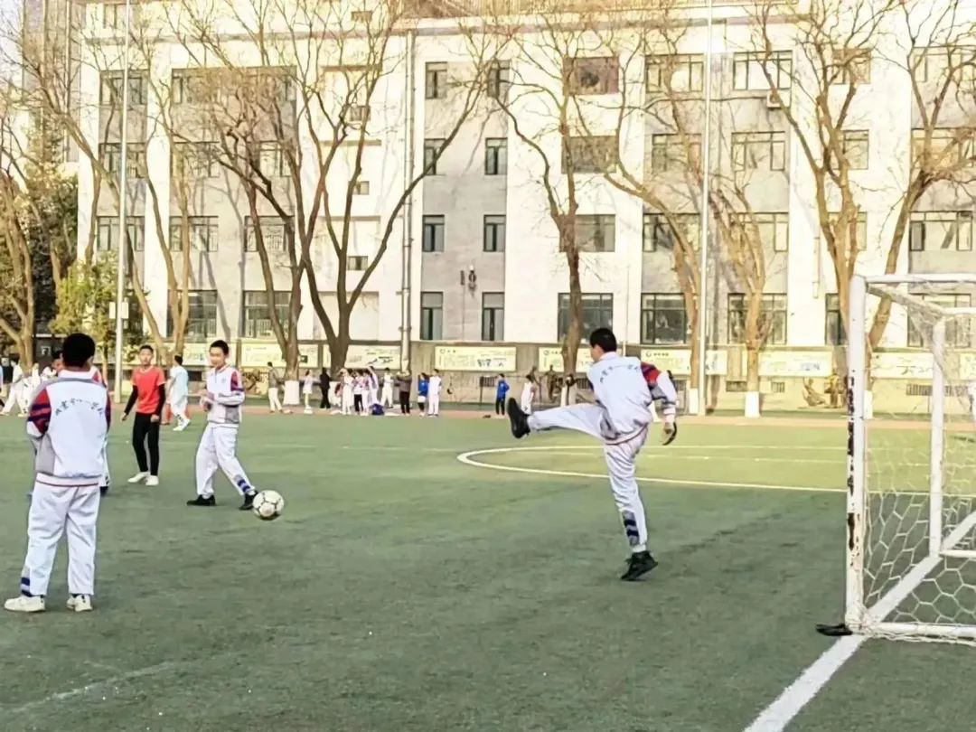 绿茵足球点亮梦想,绿茵点燃梦想