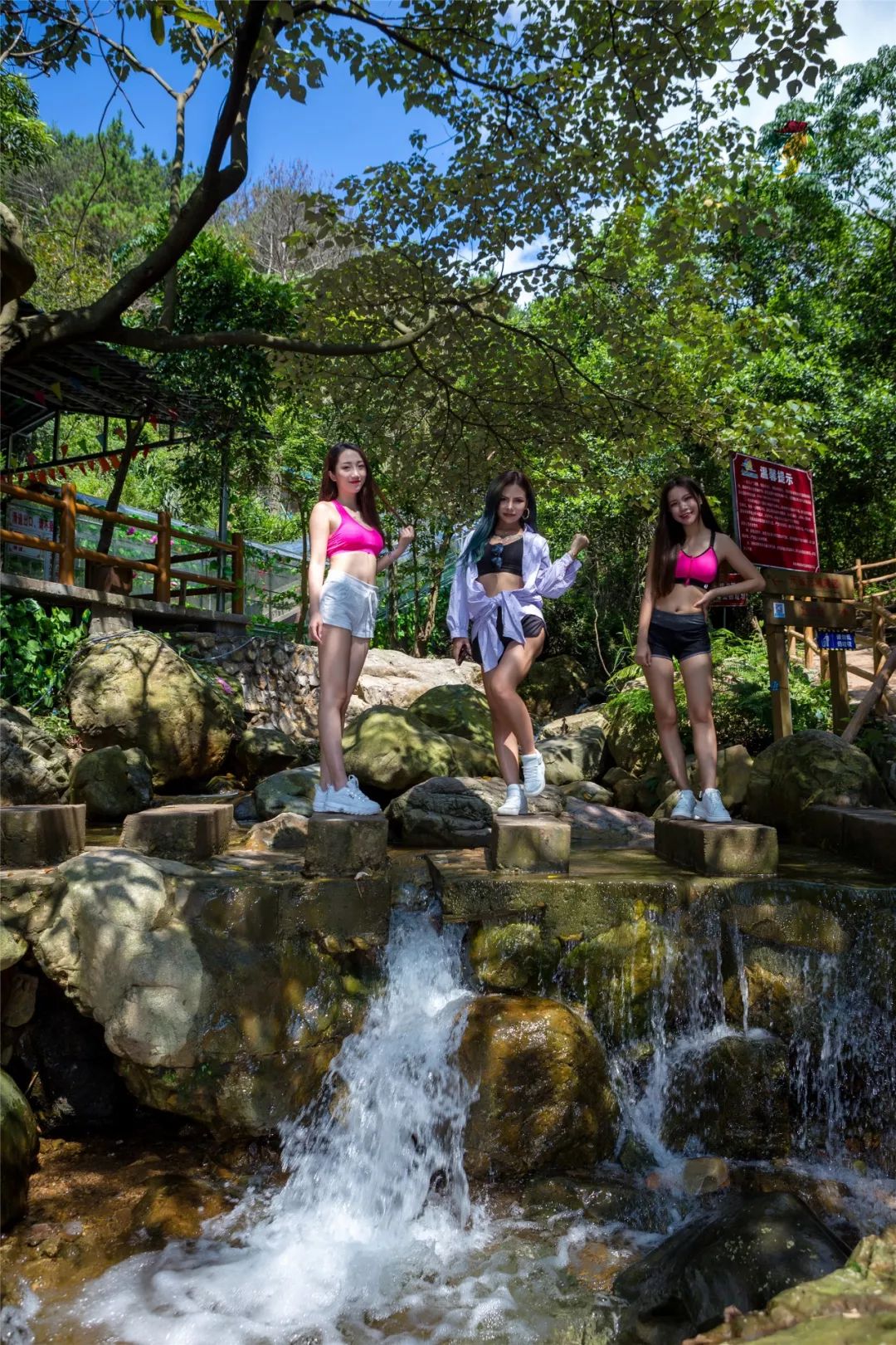 旅游年卡飞熊乐园,水上乐园年卡团购限几人