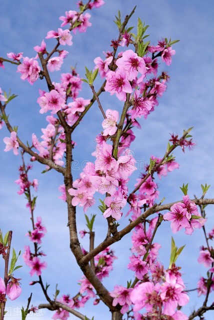 20个生活小妙招实测非常有用,20个生活小妙招大全