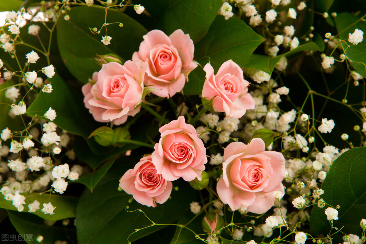 双子座和金牛座和双鱼座,2022年最好命星座金牛座和双鱼座