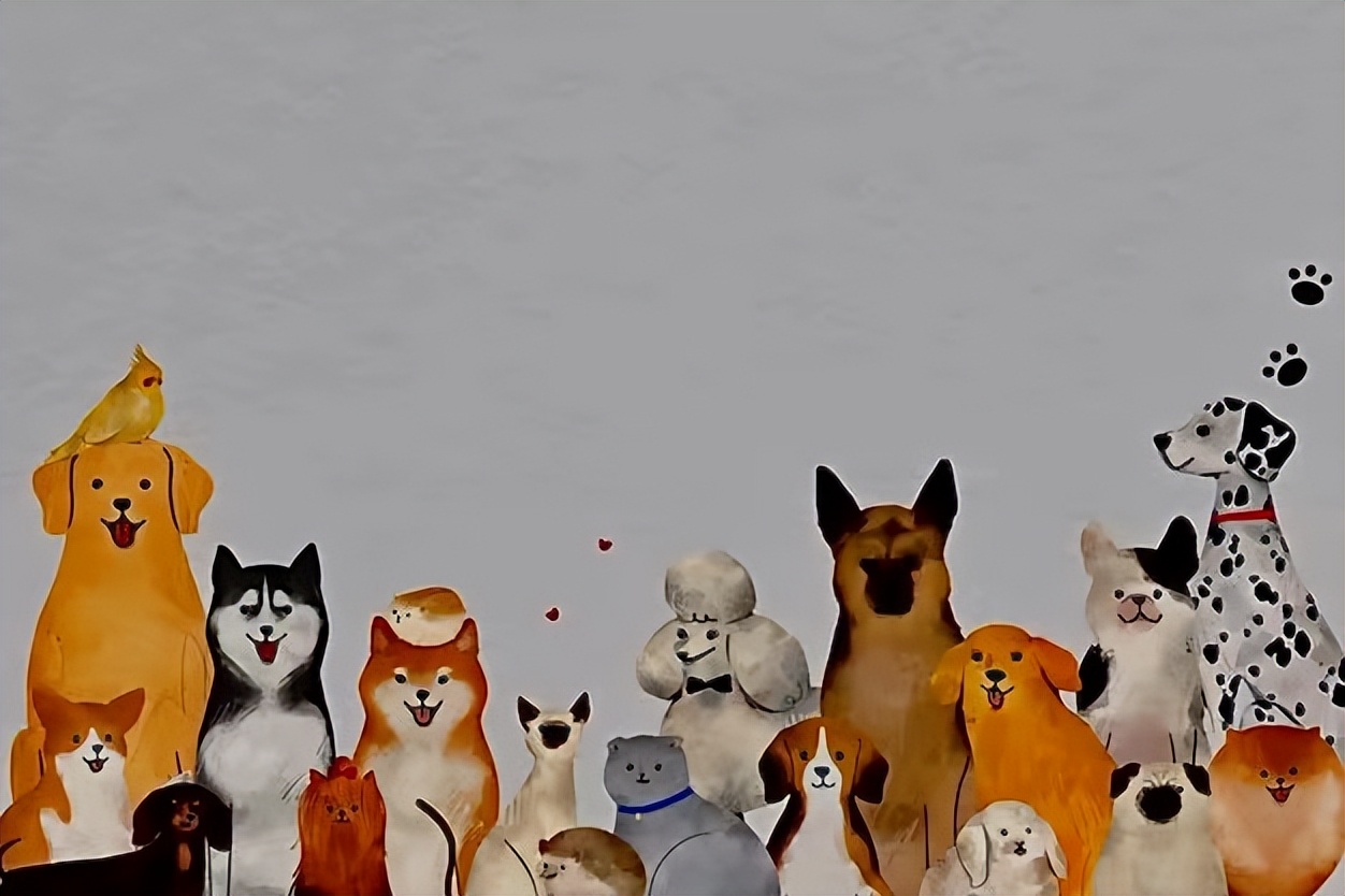 观望3年、准备7个月,我在湾区做了一个宠训App|对话创始人